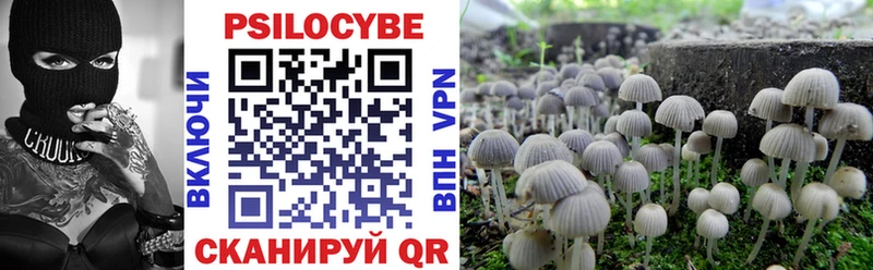 Псилоцибиновые грибы GOLDEN TEACHER  Купить  Микунь 